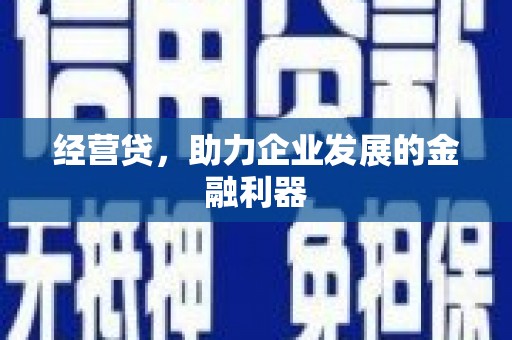 民雄经营贷，助力企业发展的金融利器