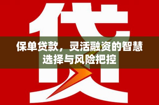 民雄保单贷款，灵活融资的智慧选择与风险把控