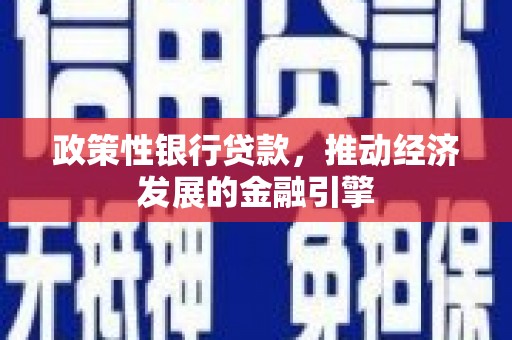 民雄政策性银行贷款，推动经济发展的金融引擎