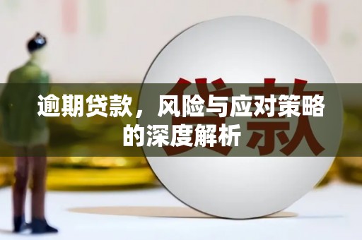 民雄逾期贷款，风险与应对策略的深度解析