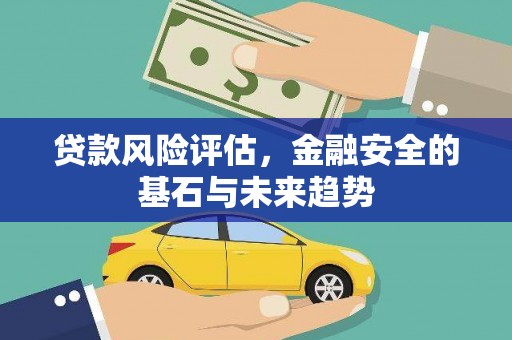 民雄贷款风险评估，金融安全的基石与未来趋势