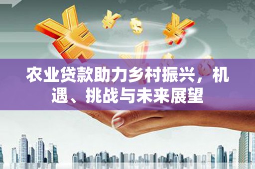 民雄农业贷款助力乡村振兴，机遇、挑战与未来展望