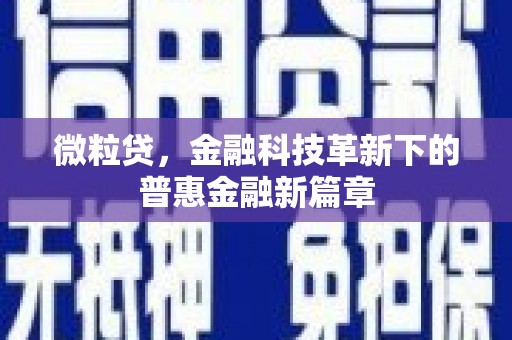 民雄微粒贷，金融科技革新下的普惠金融新篇章