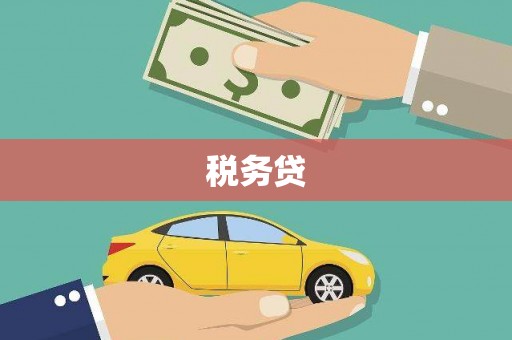 民雄税务贷
