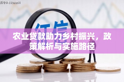 民雄农业贷款助力乡村振兴，政策解析与实施路径