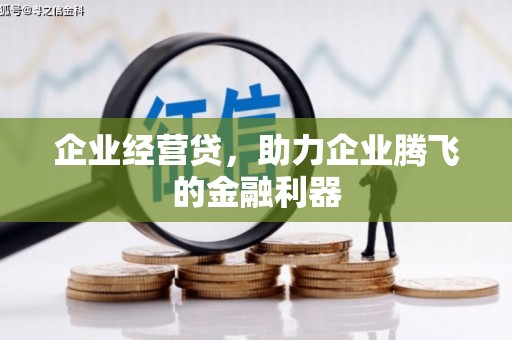 民雄企业经营贷，助力企业腾飞的金融利器
