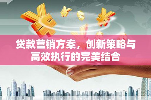 民雄贷款营销方案，创新策略与高效执行的完美结合