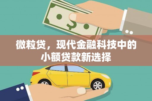 民雄微粒贷，现代金融科技中的小额贷款新选择