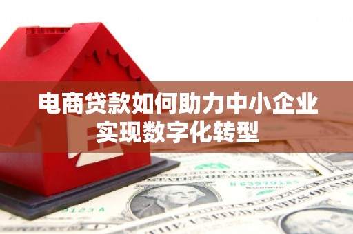 民雄电商贷款如何助力中小企业实现数字化转型