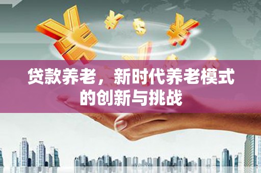 民雄贷款养老，新时代养老模式的创新与挑战