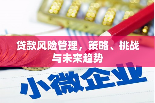 民雄贷款风险管理，策略、挑战与未来趋势