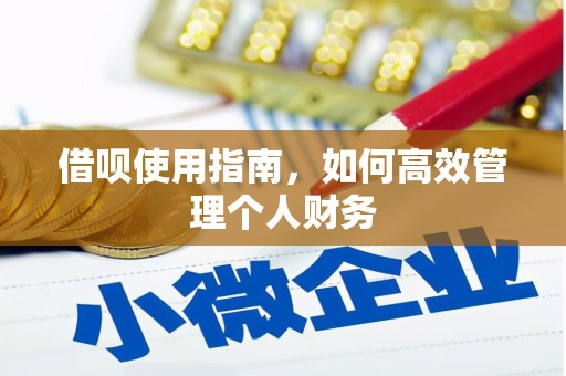 民雄借呗使用指南，如何高效管理个人财务