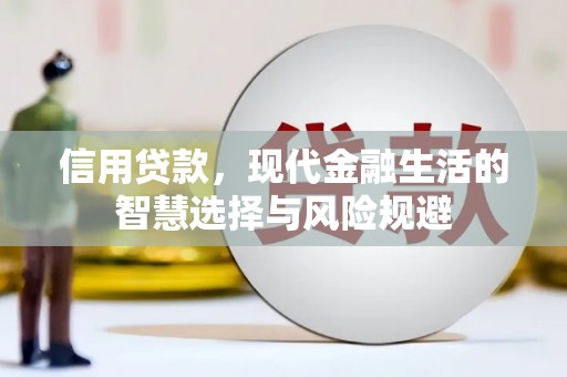 民雄信用贷款，现代金融生活的智慧选择与风险规避