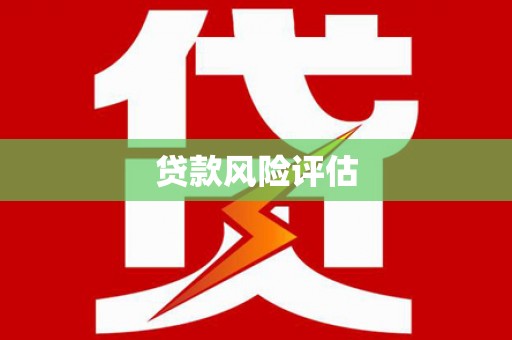 民雄贷款风险评估
