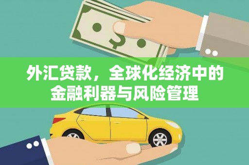 民雄外汇贷款，全球化经济中的金融利器与风险管理