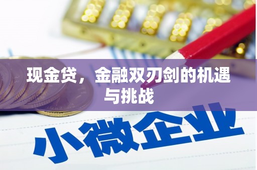 民雄现金贷，金融双刃剑的机遇与挑战