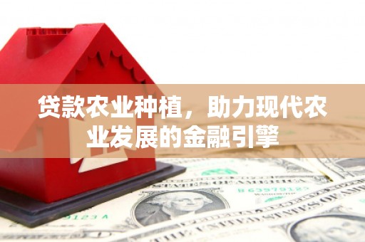 民雄贷款农业种植，助力现代农业发展的金融引擎