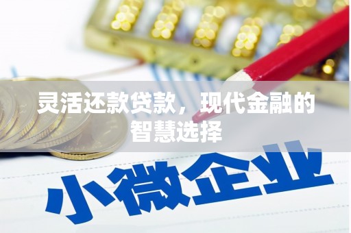 民雄灵活还款贷款，现代金融的智慧选择