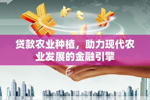 民雄贷款农业种植，助力现代农业发展的金融引擎