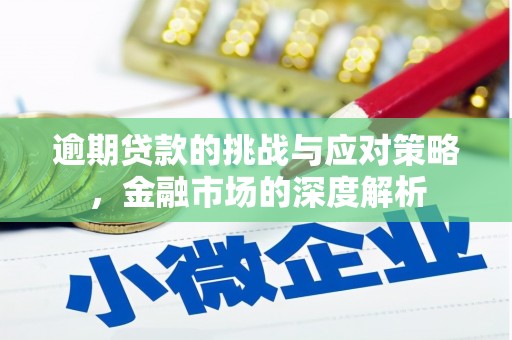 民雄逾期贷款的挑战与应对策略，金融市场的深度解析