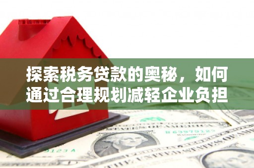 民雄探索税务贷款的奥秘，如何通过合理规划减轻企业负担