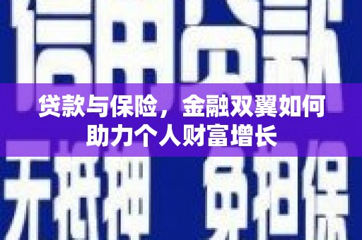 民雄贷款与保险，金融双翼如何助力个人财富增长