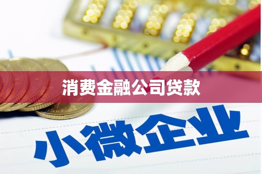 民雄消费金融公司贷款
