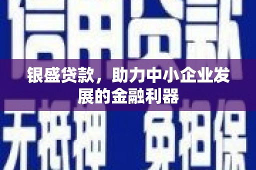 民雄银盛贷款，助力中小企业发展的金融利器