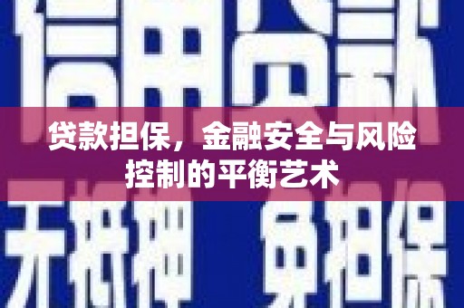 民雄贷款担保，金融安全与风险控制的平衡艺术