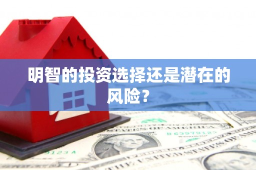 民雄明智的投资选择还是潜在的风险？