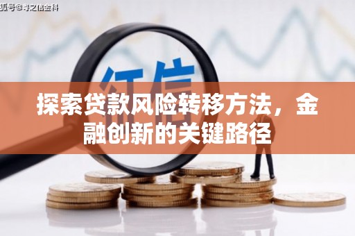 民雄探索贷款风险转移方法，金融创新的关键路径