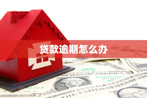 民雄贷款逾期怎么办