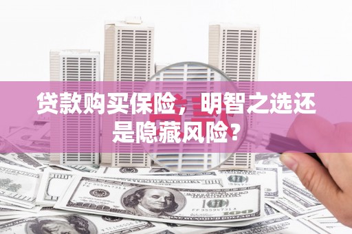 民雄贷款购买保险，明智之选还是隐藏风险？