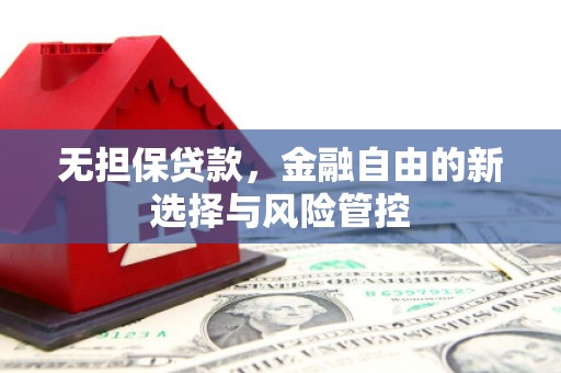 民雄无担保贷款，金融自由的新选择与风险管控