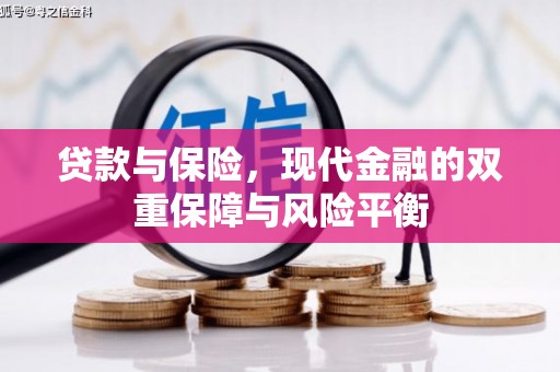 民雄贷款与保险，现代金融的双重保障与风险平衡