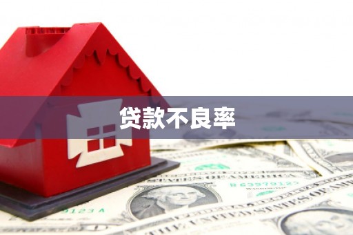 民雄贷款不良率