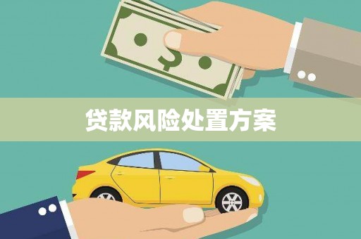 民雄贷款风险处置方案