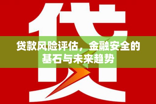 民雄贷款风险评估，金融安全的基石与未来趋势
