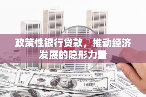 民雄政策性银行贷款，推动经济发展的隐形力量