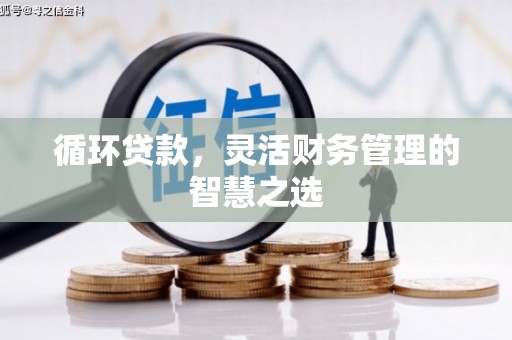 民雄循环贷款，灵活财务管理的智慧之选