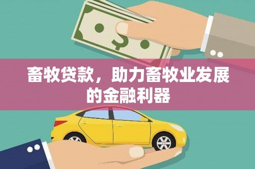 民雄畜牧贷款，助力畜牧业发展的金融利器
