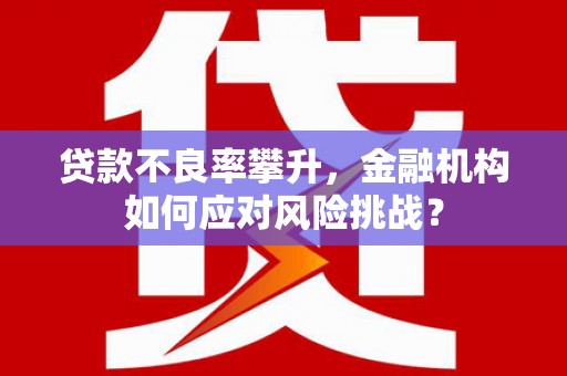 民雄贷款不良率攀升，金融机构如何应对风险挑战？