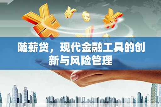 民雄随薪贷，现代金融工具的创新与风险管理