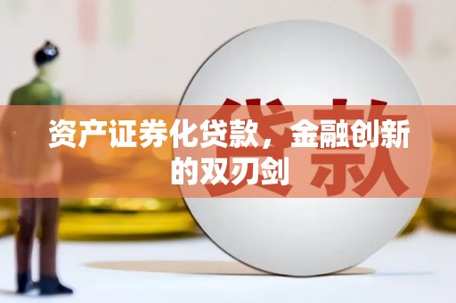 民雄资产证券化贷款，金融创新的双刃剑