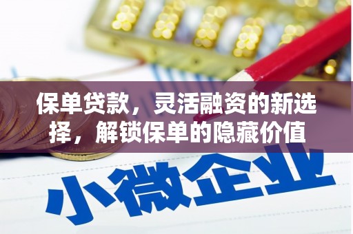 民雄保单贷款，灵活融资的新选择，解锁保单的隐藏价值