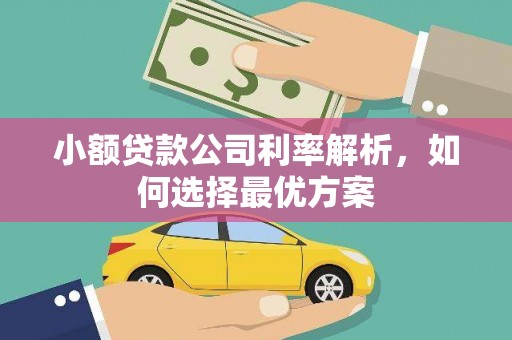 民雄小额贷款公司利率解析，如何选择最优方案
