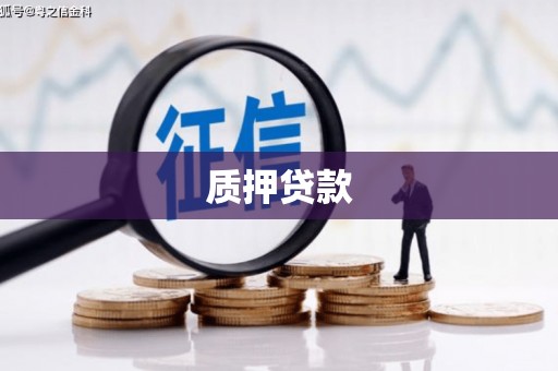 民雄质押贷款
