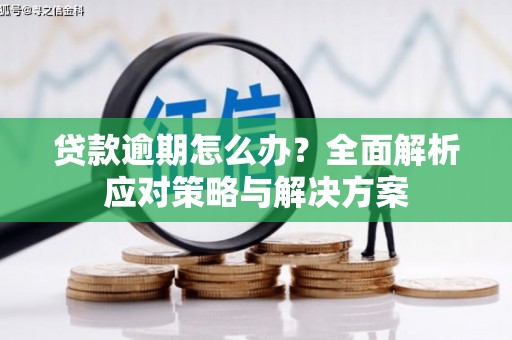 民雄贷款逾期怎么办？全面解析应对策略与解决方案
