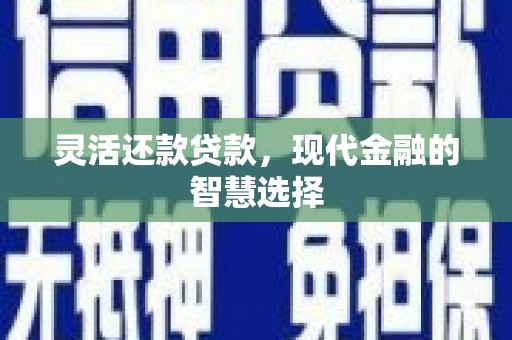 民雄灵活还款贷款，现代金融的智慧选择