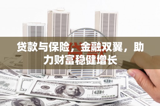 民雄贷款与保险，金融双翼，助力财富稳健增长